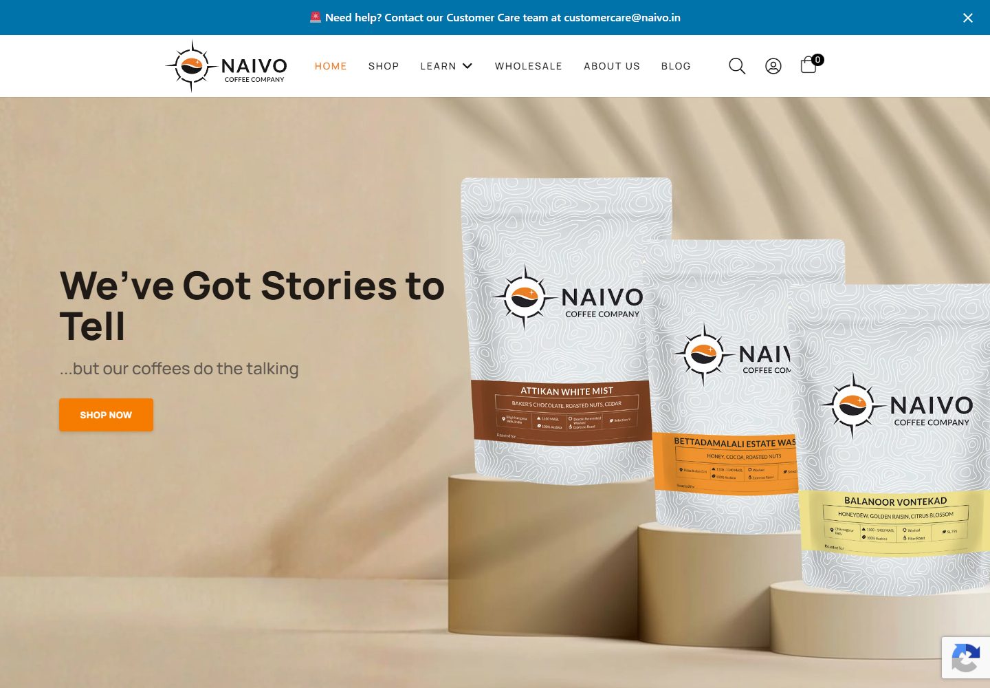 Naivo website preview